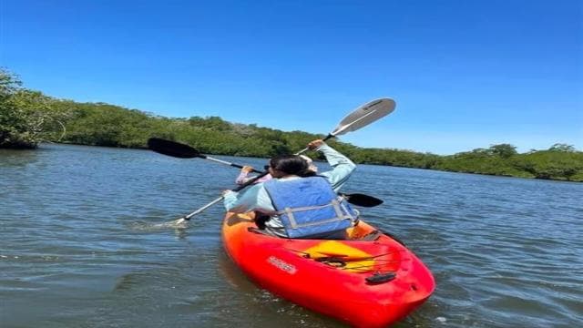 Tamarindo Estuary: Explore by Boat or Kayak - Choose your tour!