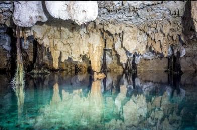 Private: Bayahibe: Jungle Walk and Cenote Snorkeling Tour