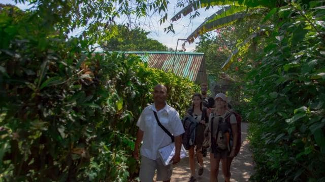 Motorboat Tour in Tortuguero National Park **BEST SELLER**