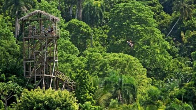 Zip Line in Punta Cana