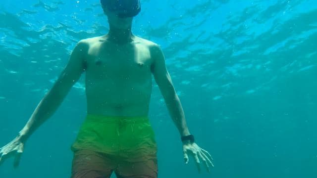 Boat & Snorkel Experience — Full Day with Lunch