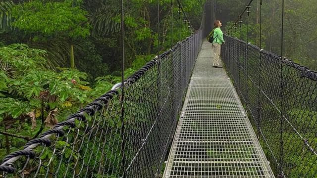 Arenal: Hanging Bridges, Waterfall, Volcano & Hot Springs