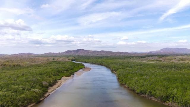 Tamarindo Estuary: Kayak Monkey Tour