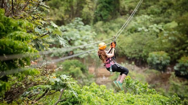 From San Juan: Zipline & Toro Bike Tour with Transportation