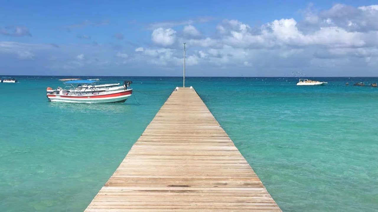 Punta Cana: Saona Island Day Trip with Lunch and Drinks
