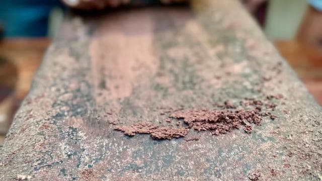 San Jose: Cacao & Chocolate Workshop