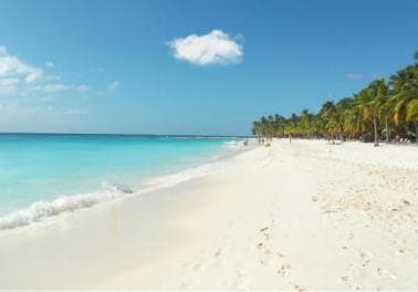 From Punta Cana: Saona Island Tour by Catamaran with Open Bar and Buffet