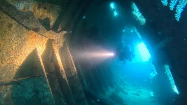 Golfito, Costa Rica: Amazing Day Wreck &/or Reef Dive Trips