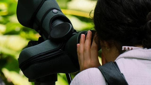 Manuel Antonio: Scarlet Macaw Tour with Professional Photos