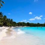 Saona Island Full Day For Small Group Catamaran VIP