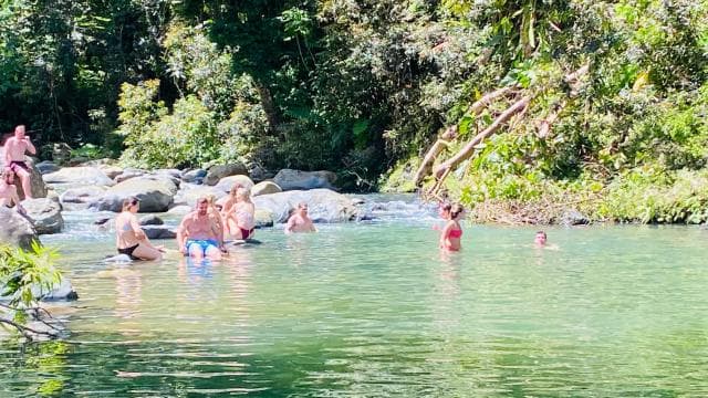 San Juan: El Yunque Rainforest Guided Tour