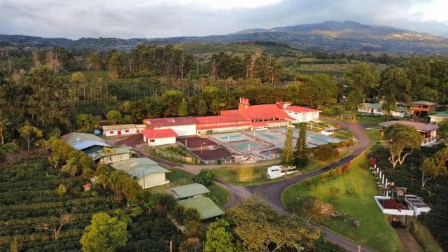 Alajuela: Coffee Plantation Guided Tour with Tasting