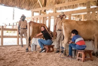 Punta Cana: Eco Park Safari Adventure