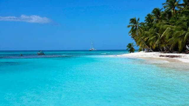 Punta Cana: Catamaran Boat to Saona Island with Buffet Lunch