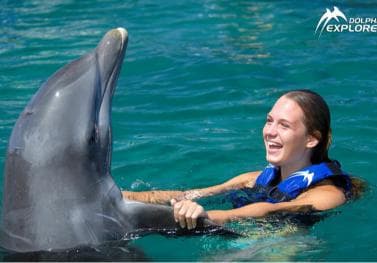 Punta Cana Dolphin Adventure: 40-Minute Interaction