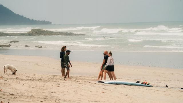 Santa Teresa: Surf Lesson with Certified Instructor