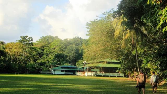 Drake Bay: Corcovado National Park and Sirena Station Tour