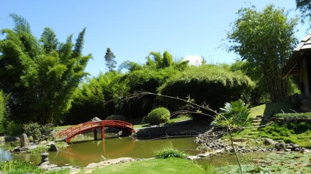 Cartago: An Unique Selections of Cartago Wonders - Dominican Republic