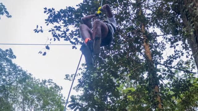 Puerto Viejo: Explore the giant ceibo tree with an accessible aerial circuit