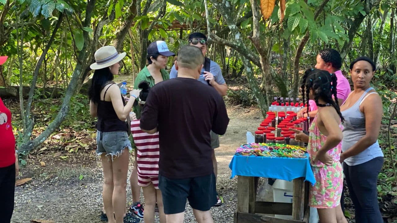 Private Half Day Tour in Punta Cana with Local Guide