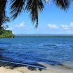 Los Haitises National Park + Lunch at Caño Hondo from Sabana de la Mar