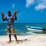 Saona Island – ¡Full Day Open Bar, Lunch and Round Trip! - Dominican Republic