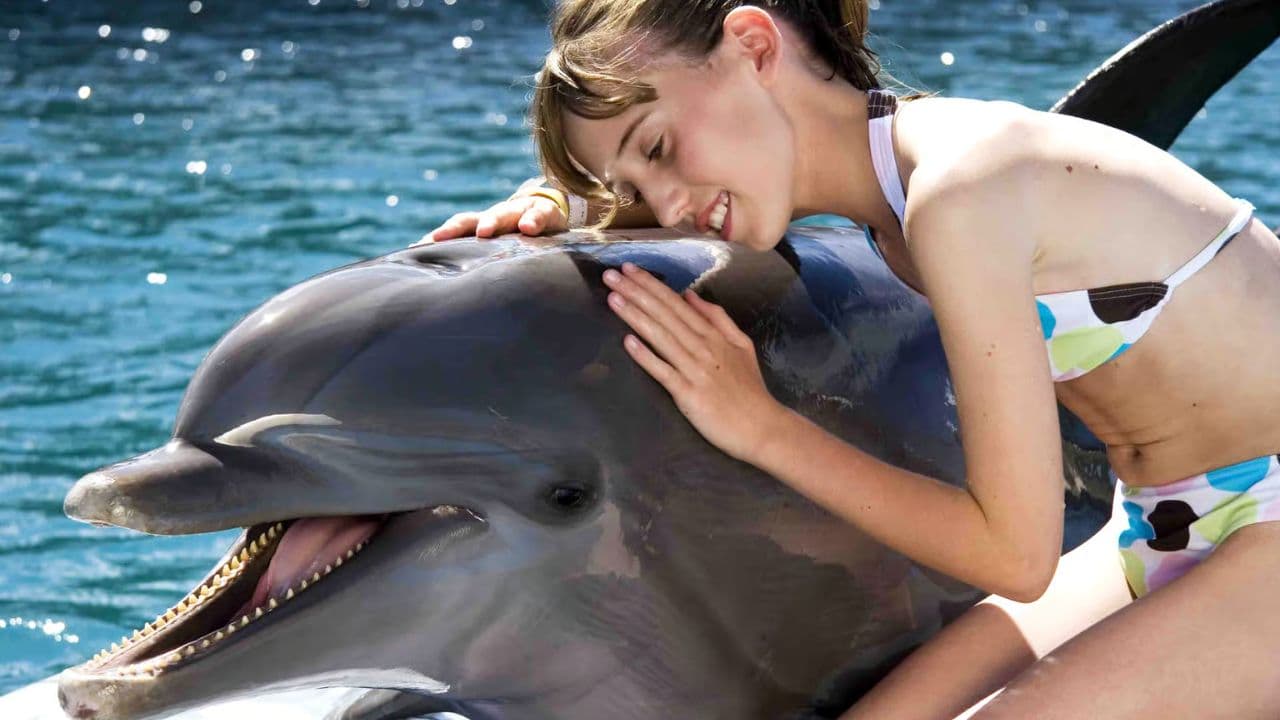 Dolphin Encounter at Ocean World, Puerto Plata