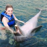 Punta Cana: Swim with Dolphins in the Pool