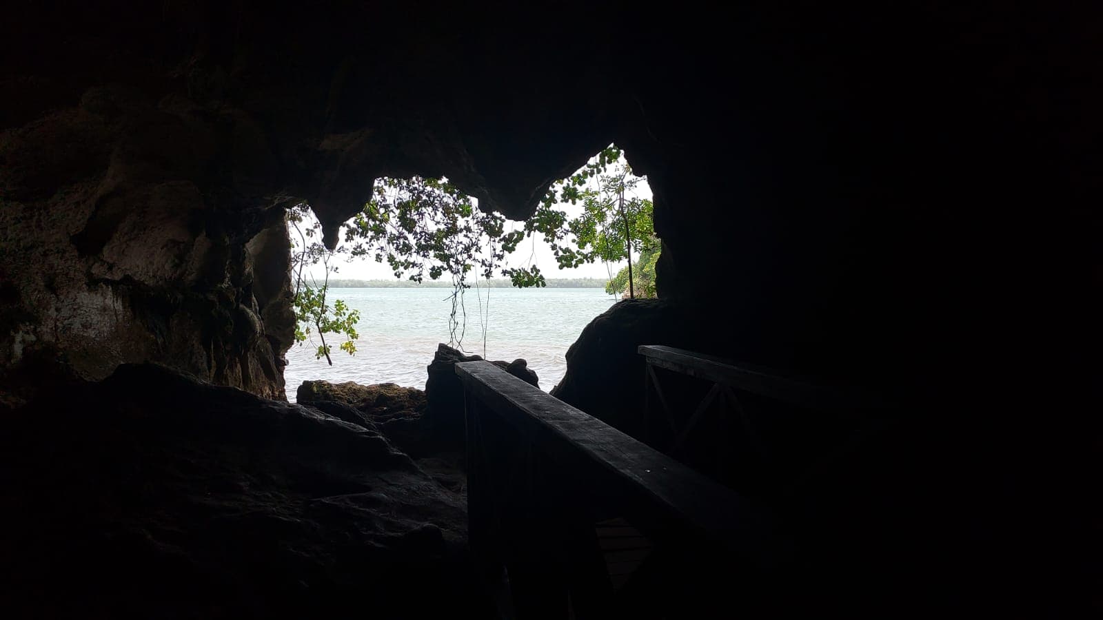 Los Haitises 4 Caves expedition & Rain Forest walk