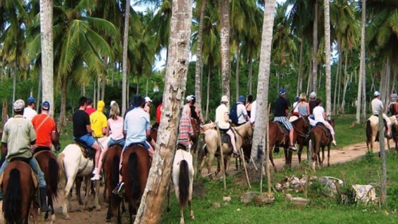 Punta Cana: Cayo Levantado & Bacardi Island Trip with Lunch