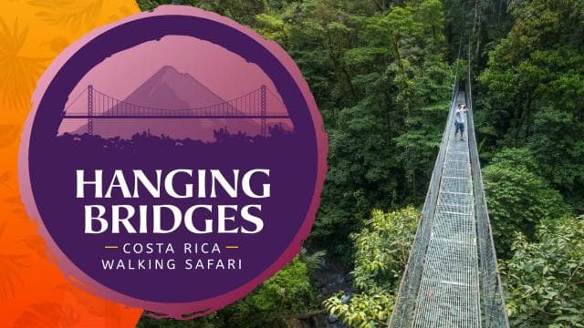 Arenal National Park: Hanging Bridges Small Group Tour