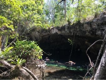 Private: Bayahibe: Jungle Walk and Cenote Snorkeling Tour