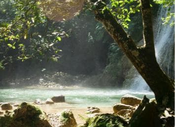 Las Terrenas: El Limón Waterfall Trekking Tour in Samana
