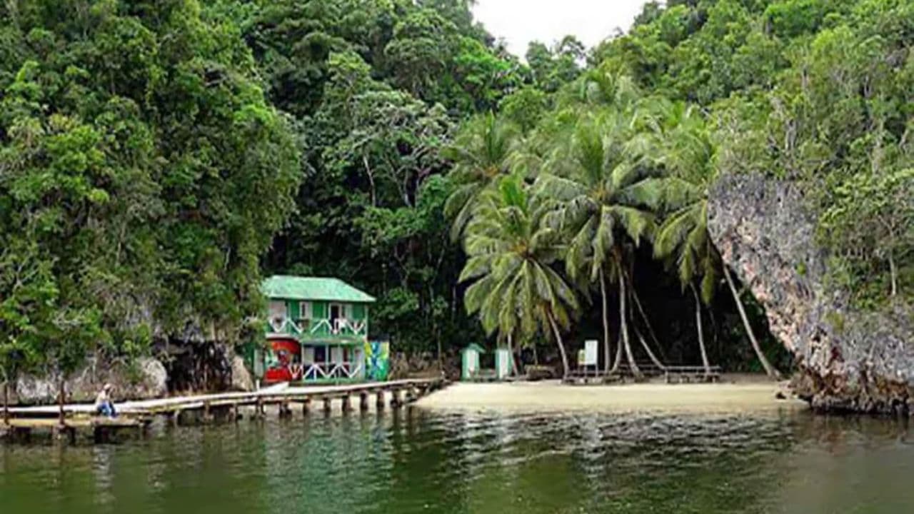 Santo Domingo: Los Haitises National Park Day Trip