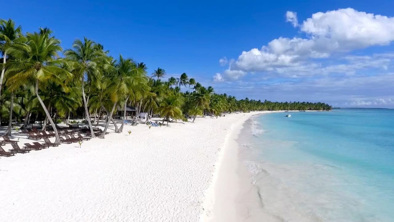 Punta Cana: Saona Island Full Day With Catamaran and Buffet