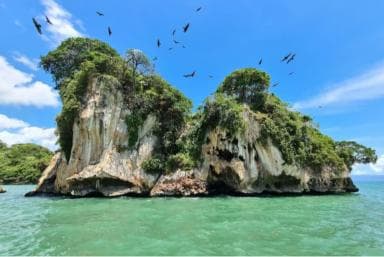 Samana: Los Haitises National Park & Caño Hondo Day Tour