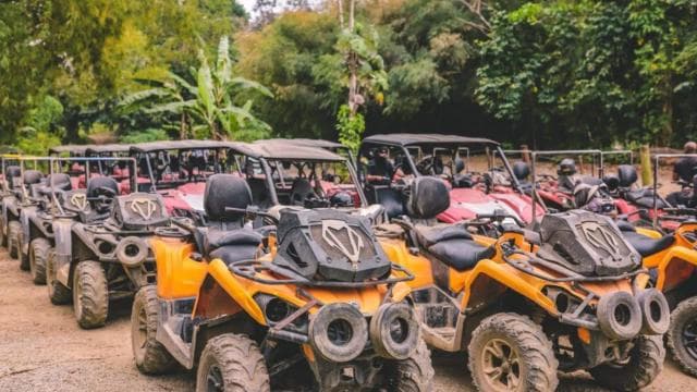 Carabalí Rainforest Park: UTV Adventure Tour