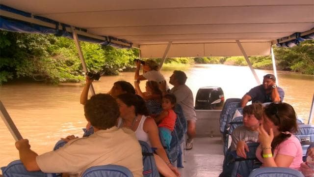 Palo Verde National Park: Wildlife Boat Tour