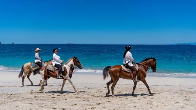 From Brasilito: 1-Hour Horseback Riding Beach Tour