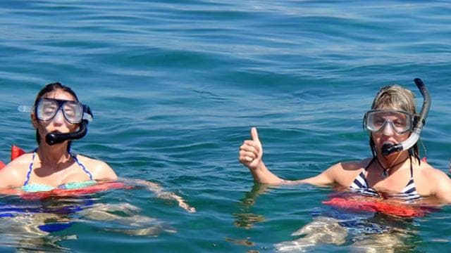 From Manzanillo: Cahuita Snorkel and Rainforest Hike - Dominican Republic