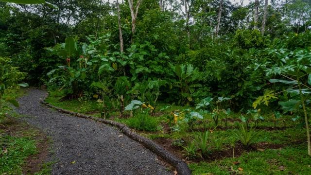 El Tanque: GreenEcoPark Guided Hike with Seasonal Fruits