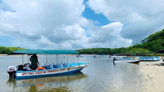 Tamarindo Estuary: Explore by Boat or Kayak - Choose your tour!