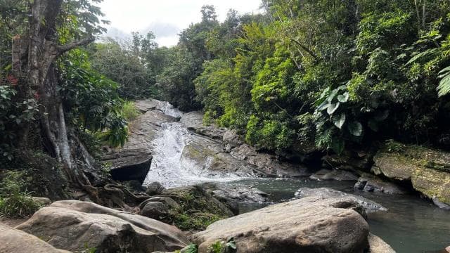 El Yunque Rainforest Water Slide & Luquillo Beach Tour