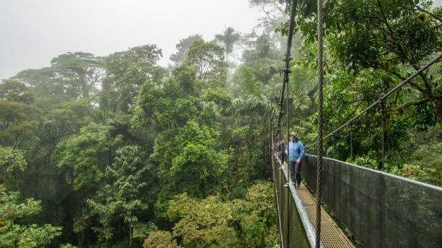 La Fortuna: Arenal Volcano, Hanging Bridges & Waterfall Tour