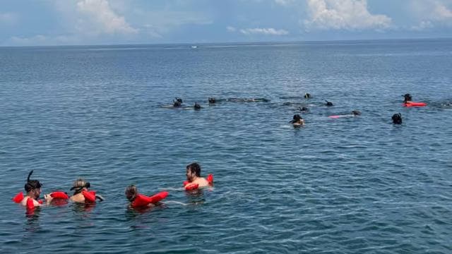 Snorkel in Cahuita National Park