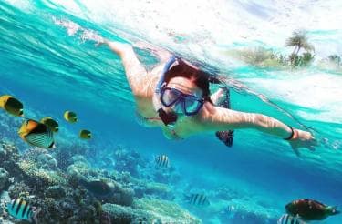 Catalina Island: Cruise, Snorkelling, Open Buffet & Drinks