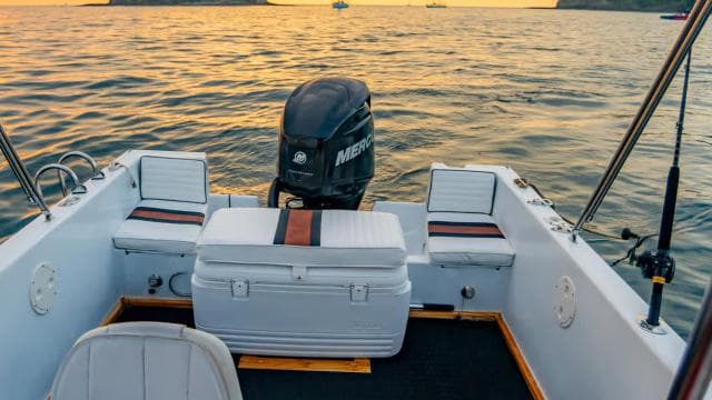 Costa Rica: Dolphin Watching & Snorkelling Private Charter
