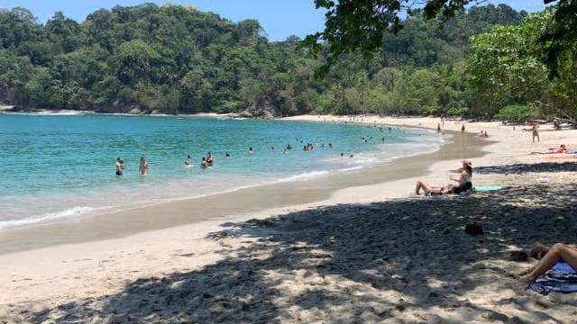 Manuel Antonio National park: All inclusive 8 hours tour