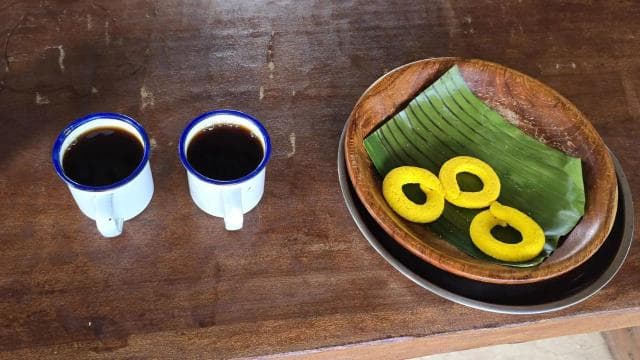 Río Celeste, Sloths, Coffee, Chocolate and Sugarcain