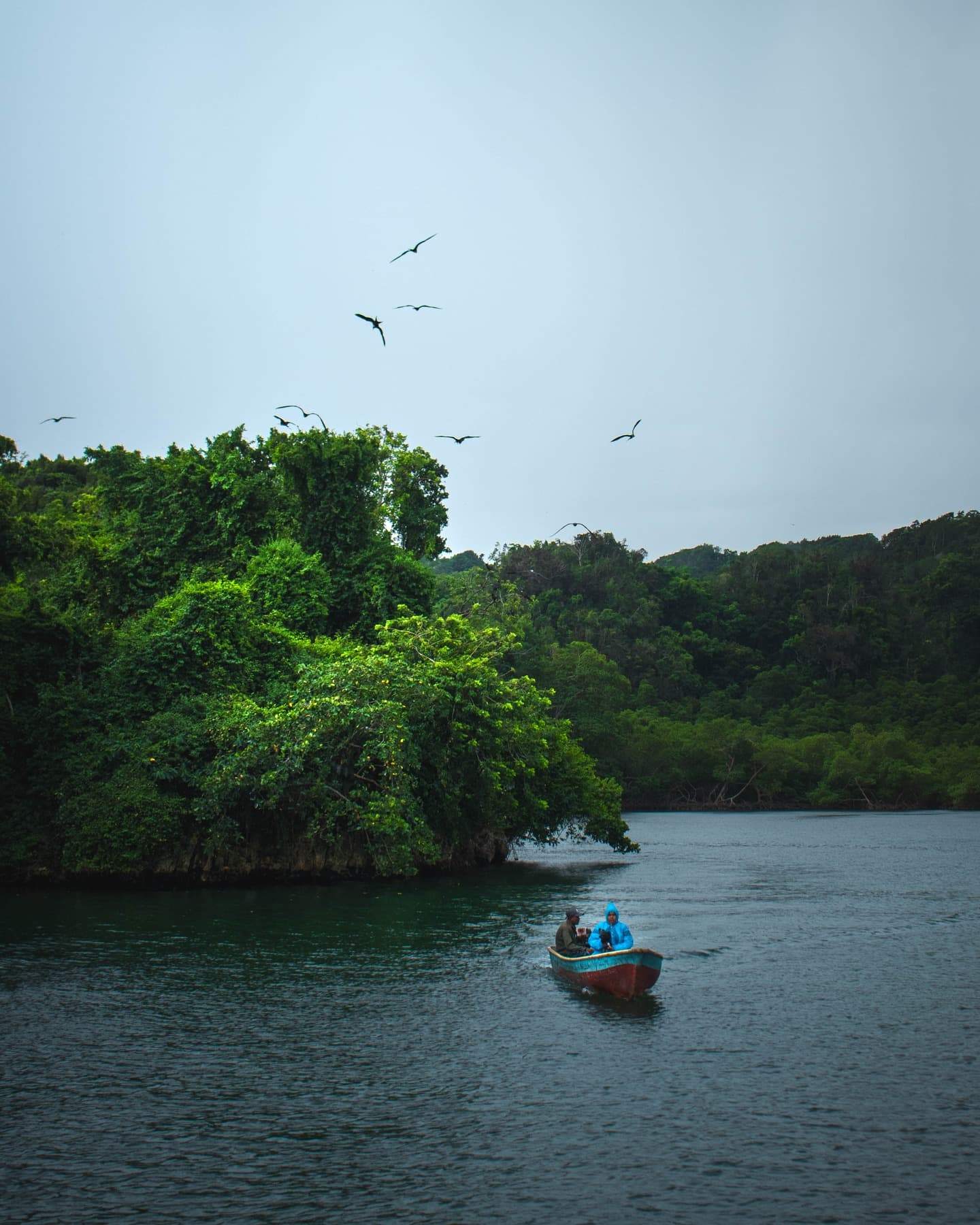 Los Haitises National Park: Boat and Walking Tour with Lunch - Dominican Republic
